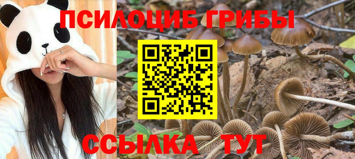 Псилоцибиновые грибы MAGIC MUSHROOMS Кирово-Чепецк