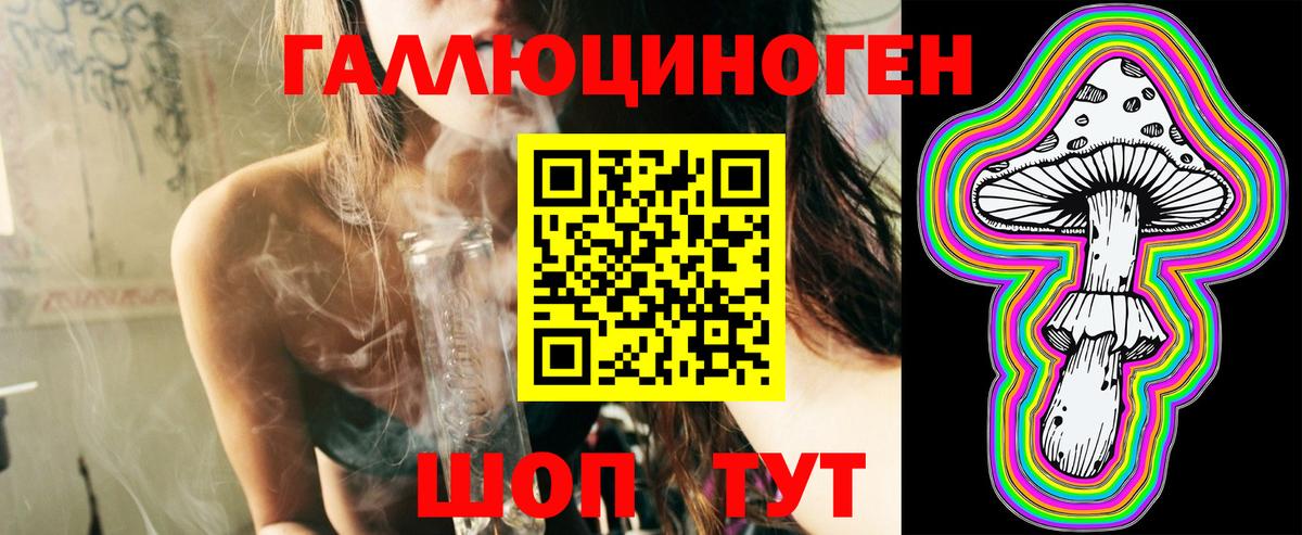 Кирово-Чепецк  Псилоцибиновые грибы Psilocybine cubensis  Вход с VPN 